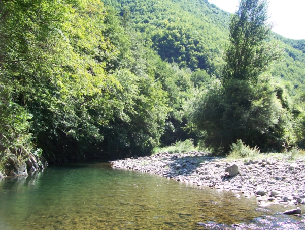  Image name: Fiume23.jpg 
 width: 601 pixel 
 height: 452 pixel 
 Size: 337967 bytes 
 Click to enlarge 